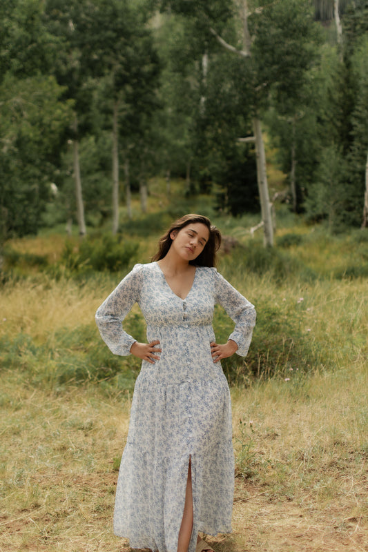women modeling blue, white, floral, button down, v-neck, maxi dress. bella by grace co