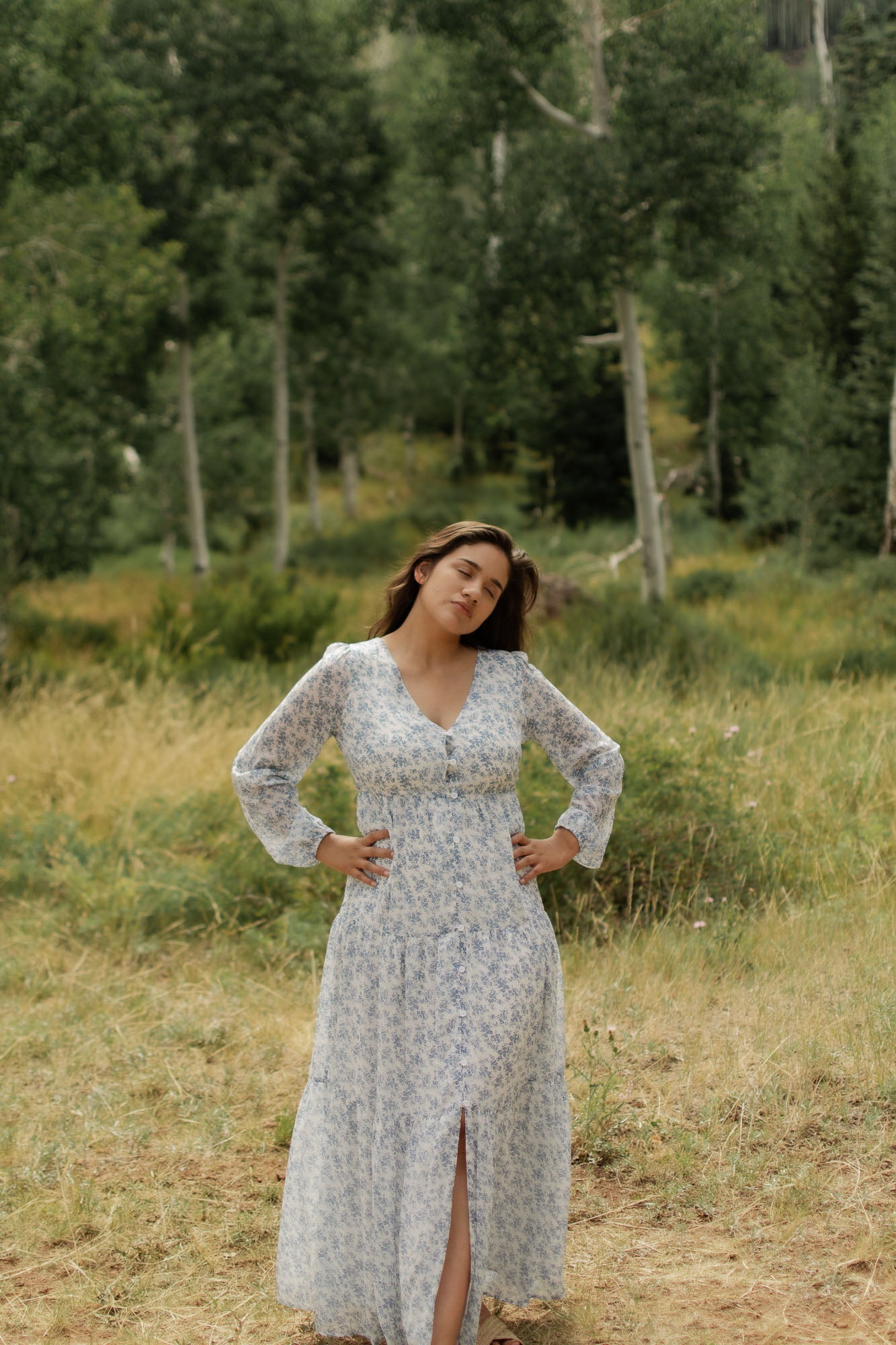 Vintage Blue Maxi